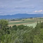 Wilhelma Ii * Zabkowice Slaskie