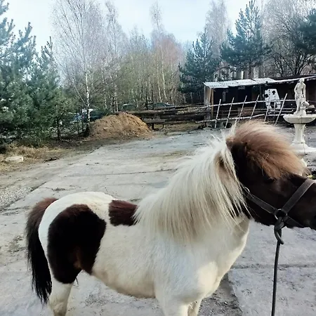 Wilhelma Ii Appartamento Zabkowice Slaskie