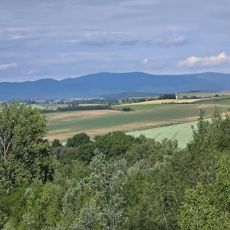 Wilhelma Ii * Zabkowice Slaskie