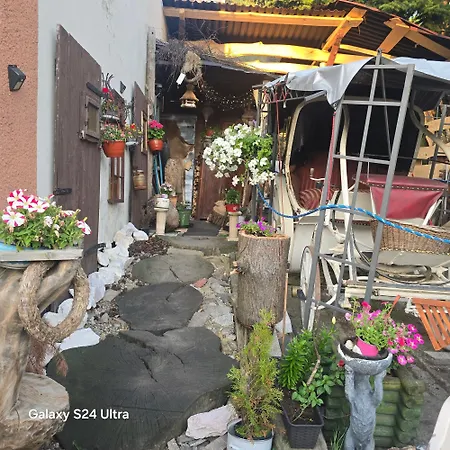 Wilhelma Ii * Zabkowice Slaskie