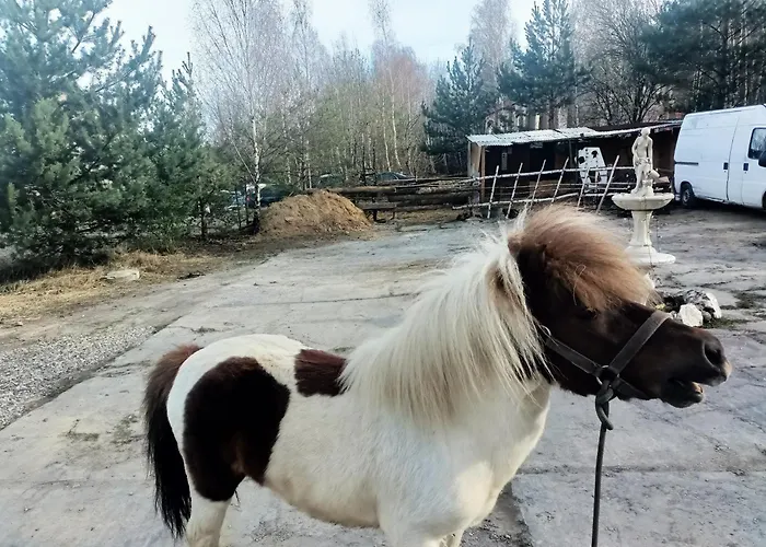 Wilhelma Ii Appartement Zabkowice Slaskie