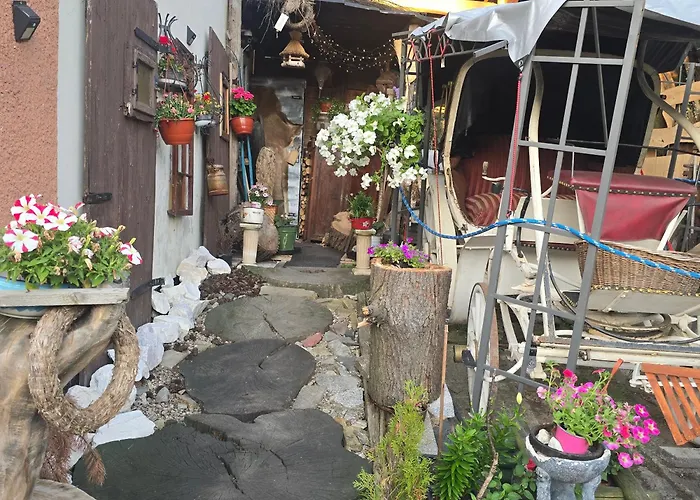 Wilhelma Ii * Zabkowice Slaskie